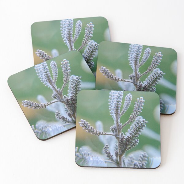 Item preview, Gray plant closeup macro photo for nature lovers designed and sold by CiniArt.
