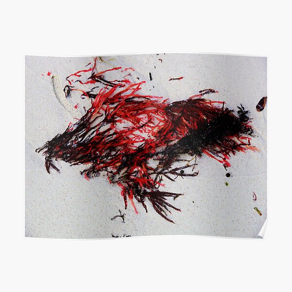 Untitled Poster
