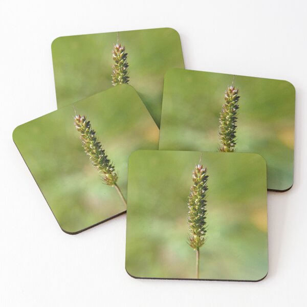 Item preview, Garden plant macro photo for nature lovers designed and sold by CiniArt.