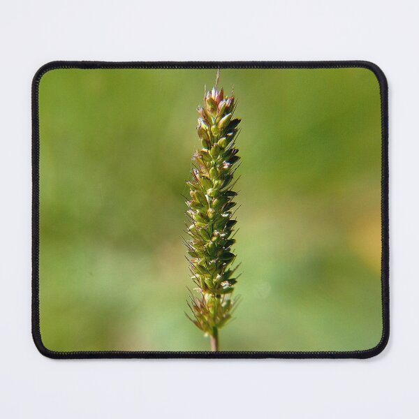 Item preview, Garden plant macro photo for nature lovers designed and sold by CiniArt.