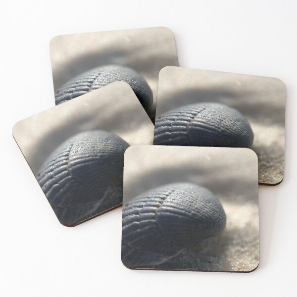 Item preview, Black Sea Shell designed and sold by Jason Tompkins.