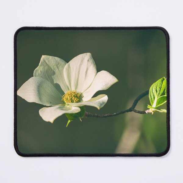 Item preview, one designed and sold by jvnimages.