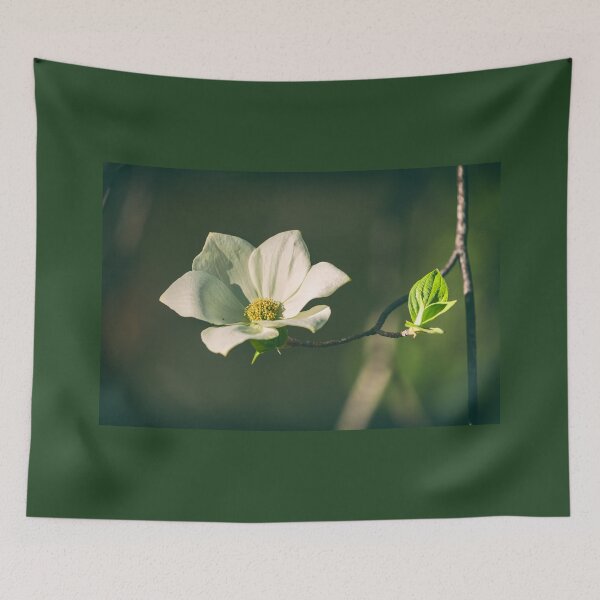 Item preview, one designed and sold by jvnimages.
