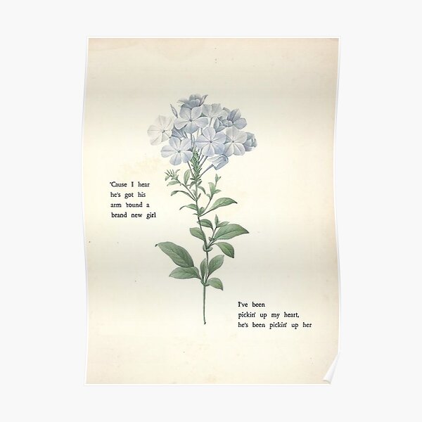 "T. S. Lyrics Flowers" Poster for Sale by theresaccoulart Redbubble