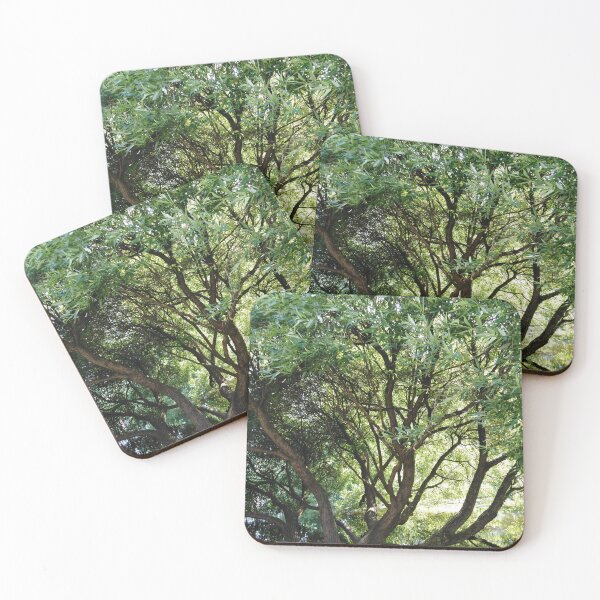 Item preview, Just sit and relax, it`s a magical tree designed and sold by Raigitam.