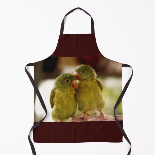 Item preview, Nicaraguan green conure (Chocoyos) designed and sold by Madalena Lobao-Tello.