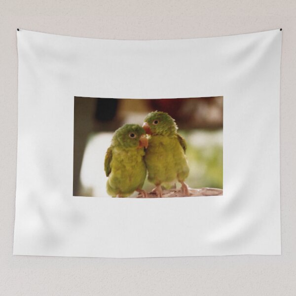 Item preview, Conure verde nicaragüense (chocoyos) designed and sold by Madalena Lobao-Tello.