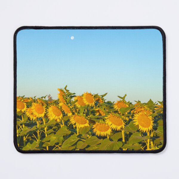 Item preview, Sunflowers and  moon designed and sold by jvnimages.