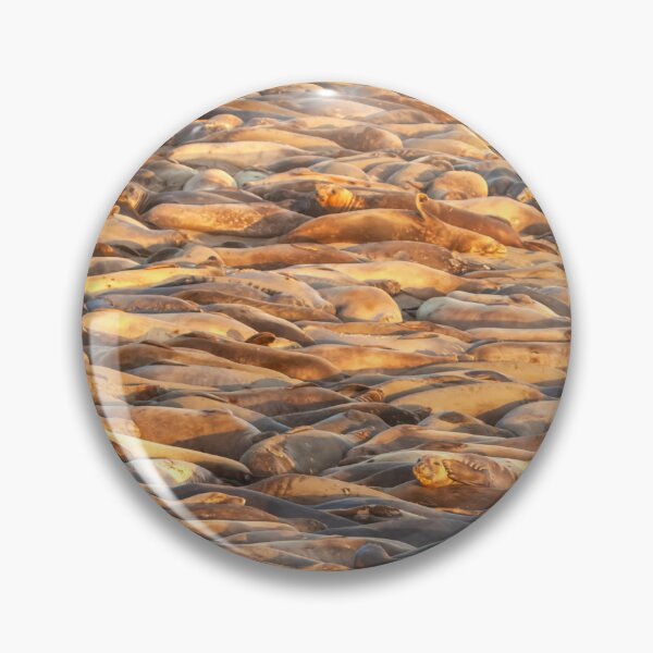 Item preview, Sleeping Seals vertical designed and sold by jvnimages.