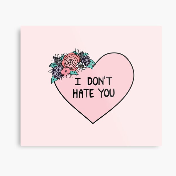I Don't Hate You Metal Print