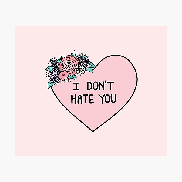I Don't Hate You Photographic Print