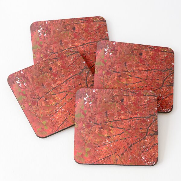 Item preview, Northern Virginia Foliage designed and sold by ktmobrien.