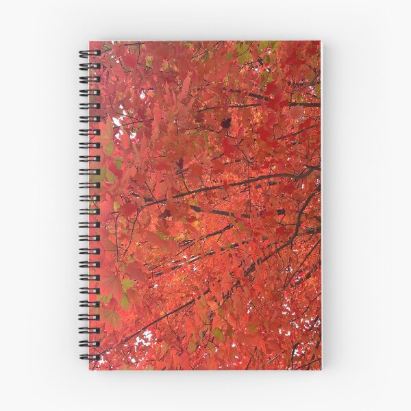 Item preview, Northern Virginia Foliage designed and sold by ktmobrien.