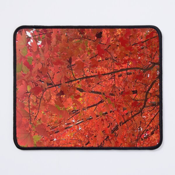 Item preview, Northern Virginia Foliage designed and sold by ktmobrien.