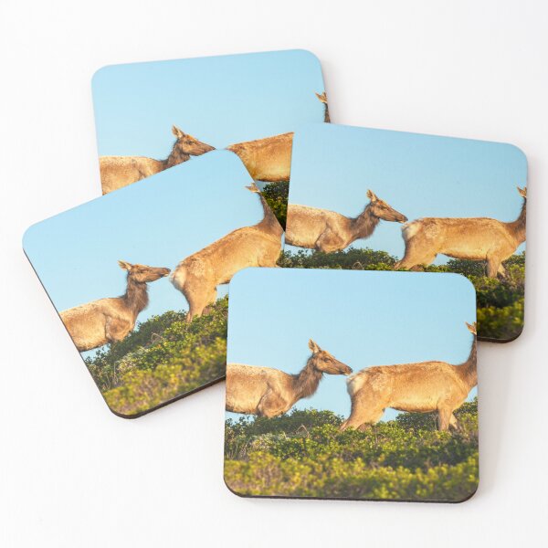 Item preview, 2 Elks 2 designed and sold by jvnimages.