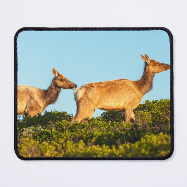 Item preview, 2 Elks 2 designed and sold by jvnimages.