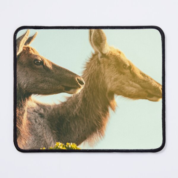 Item preview, Two Elks designed and sold by jvnimages.