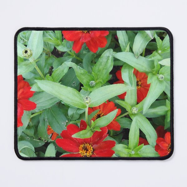 Item preview, Ordinary is the most beautiful designed and sold by Raigitam.