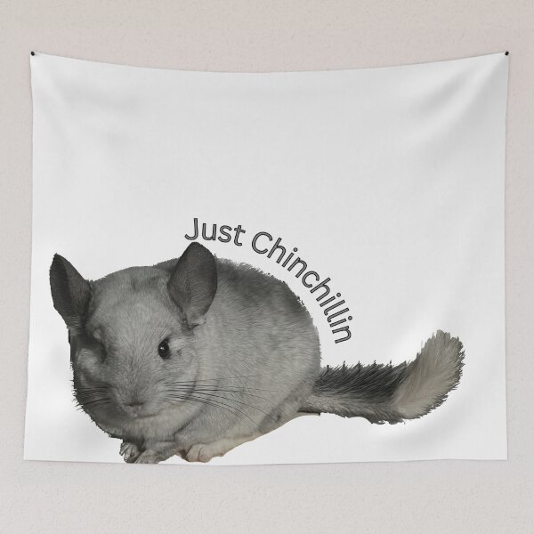 Item preview, I'm just chinchillin designed and sold by katiebca2.