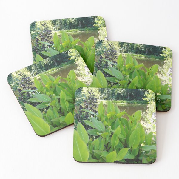 Item preview, Sometimes green leaves and sun are the best designed and sold by Raigitam.