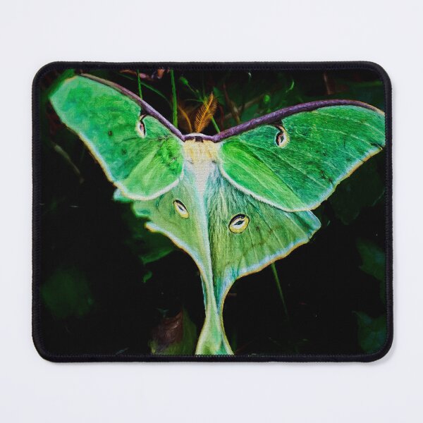 Item preview, Magical Moth designed and sold by Khervey.