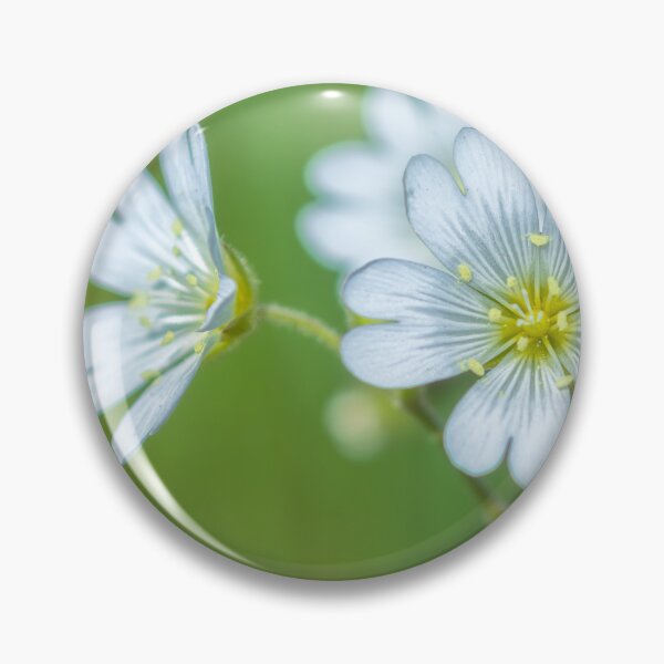 Item preview, Field Chickweed  designed and sold by jvnimages.