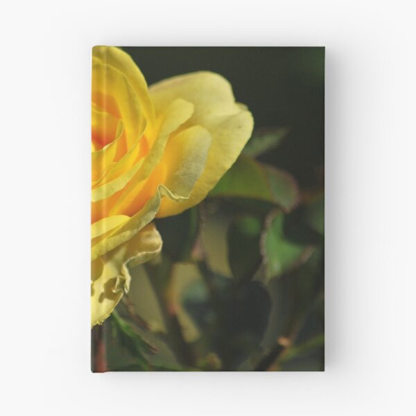 Item preview, Opulent Yellow designed and sold by Lozzar Flowers & Art.