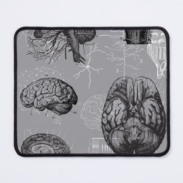 Item preview, Vintage human brain anatomy  designed and sold by Preslava Genova.