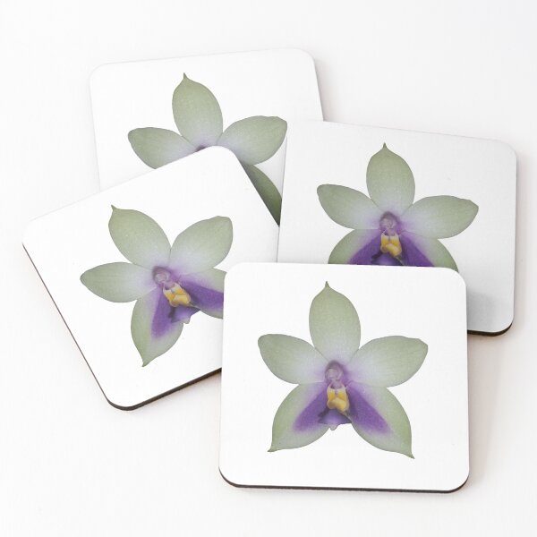 Item preview, Phalaenopsis bellina var coerulea  designed and sold by Floral-Art.