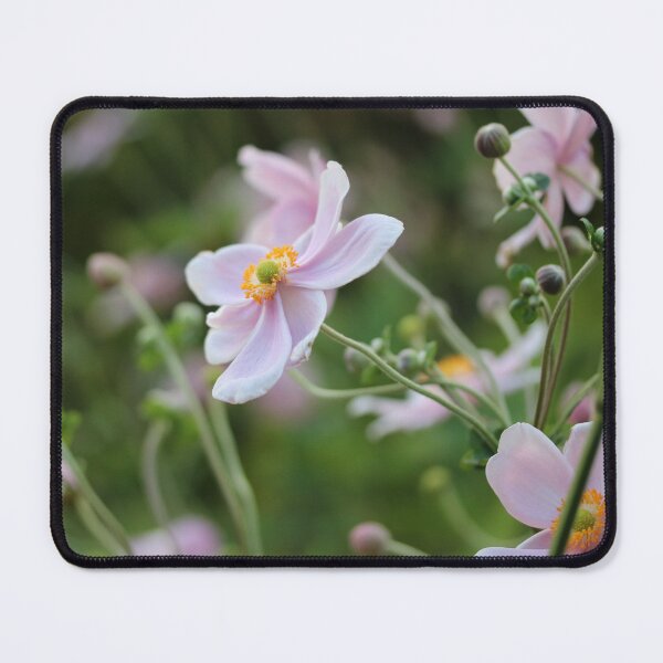 Item preview, Pink Anemones designed and sold by Emmaline Jones.