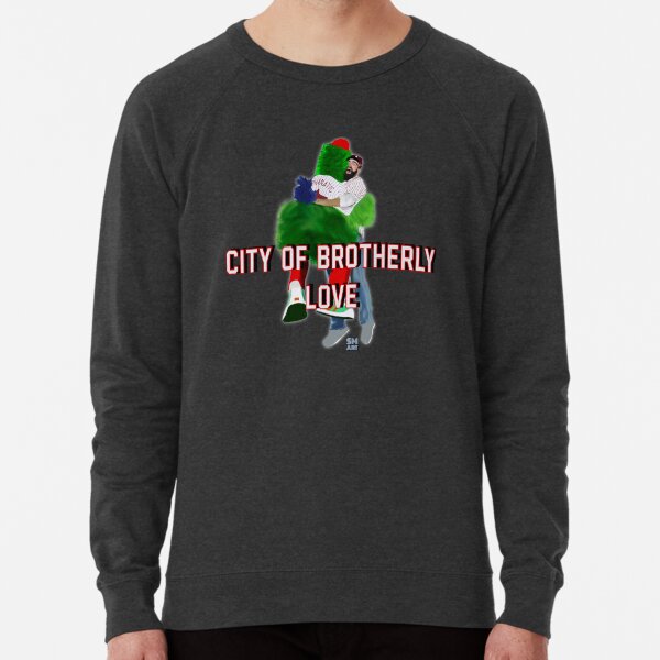 Philadelphia The City Of Brotherly Shove Go Birds Shirt, hoodie, sweater,  long sleeve and tank top