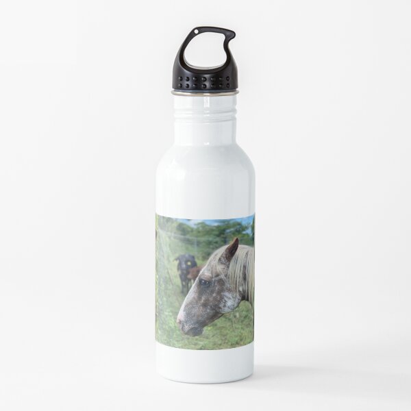 The Haven Farm Hooligans Water Bottle