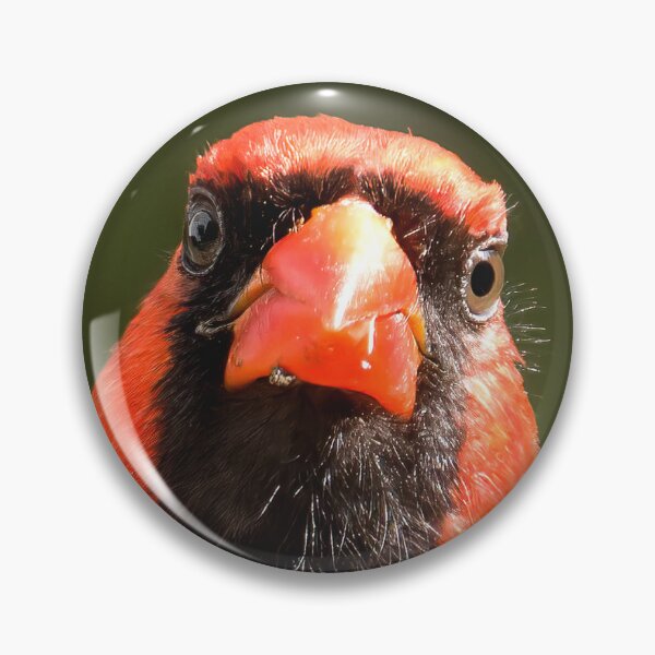 Item preview, Cardinal  designed and sold by rmyerphoto.