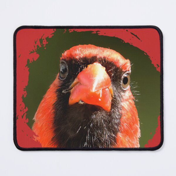 Item preview, Cardinal  designed and sold by rmyerphoto.