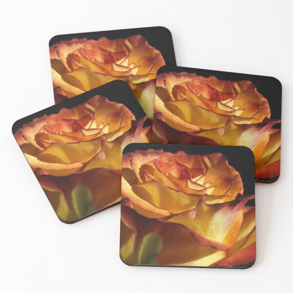 Item preview, Fiery multicolored rose designed and sold by StephSquared.