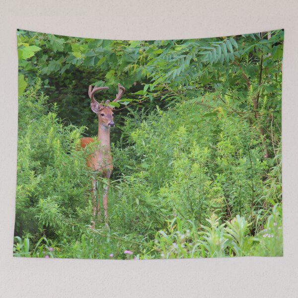 Item preview, Young Buck    |    Nature designed and sold by RedHandedOD.