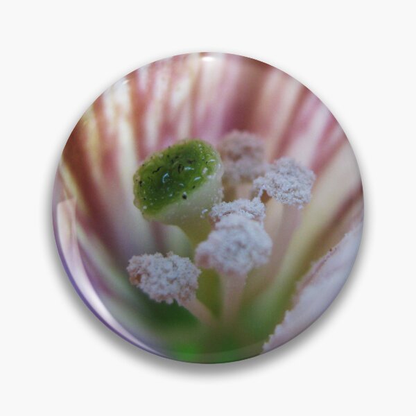 Item preview, A Secret World designed and sold by Dawn Mahaney Photography .