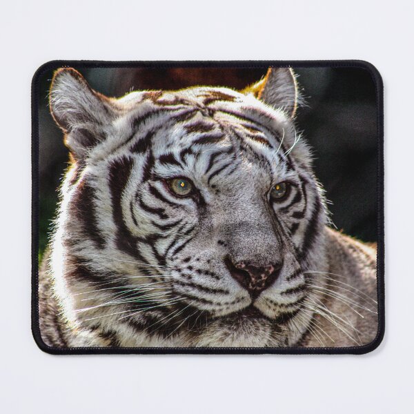 Item preview, "White Tiger 02" Image By Rich AMeN Gill designed and sold by RichAMeNGill.