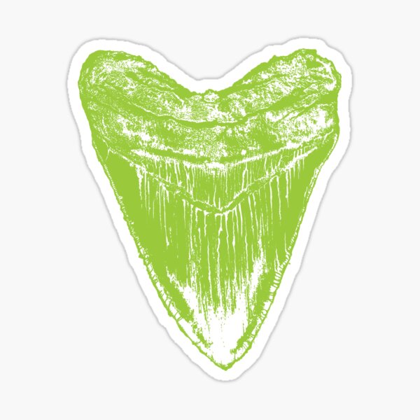 Item preview, Megalodon tooth tshirt - ideal gift for those that love Megalodons designed and sold by DiggerGifts4U.