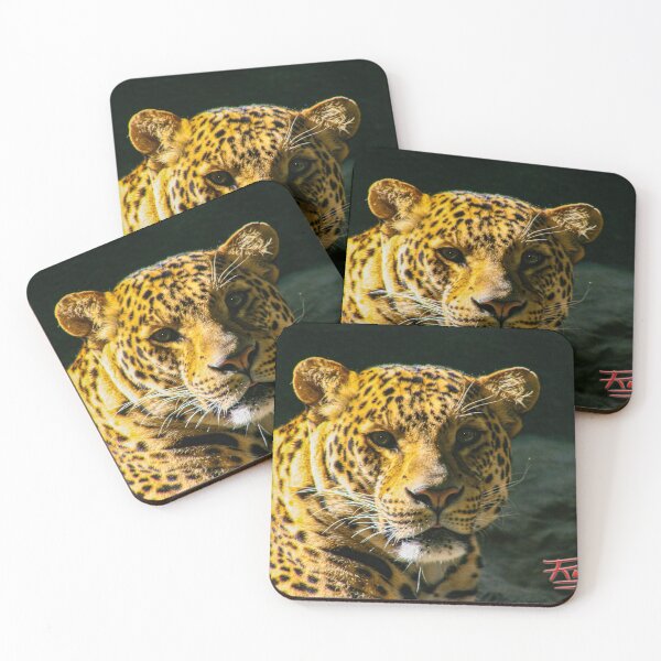 Item preview, Hungry Leopard Image By Rich AMeN Gill designed and sold by RichAMeNGill.