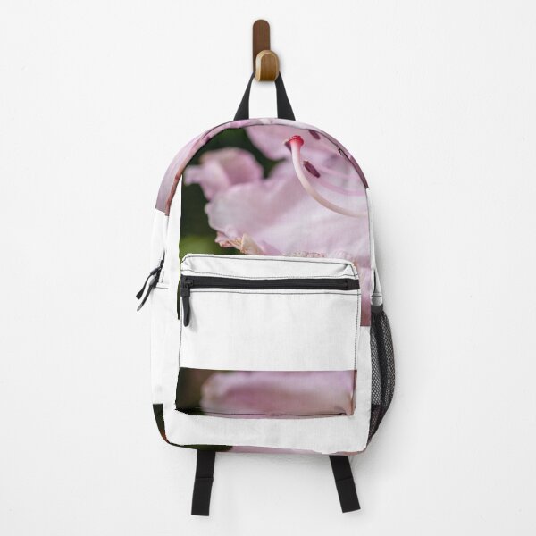 Item preview, Spring designed and sold by D-GaP.