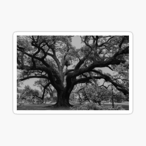Item preview, Mighty Oak designed and sold by okomedesign.