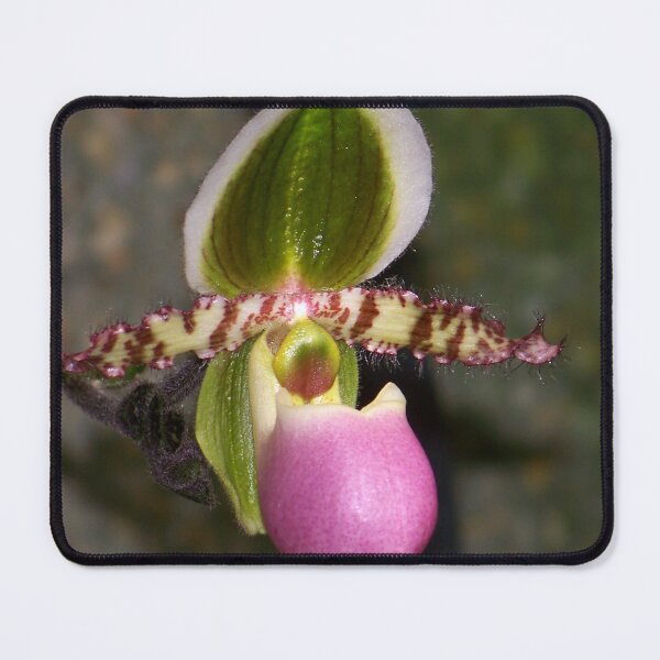 Item preview, Twisted Petals designed and sold by okomedesign.
