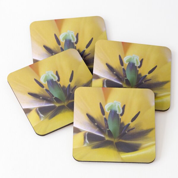 Item preview, The Tulip Center designed and sold by Dawn Mahaney Photography .