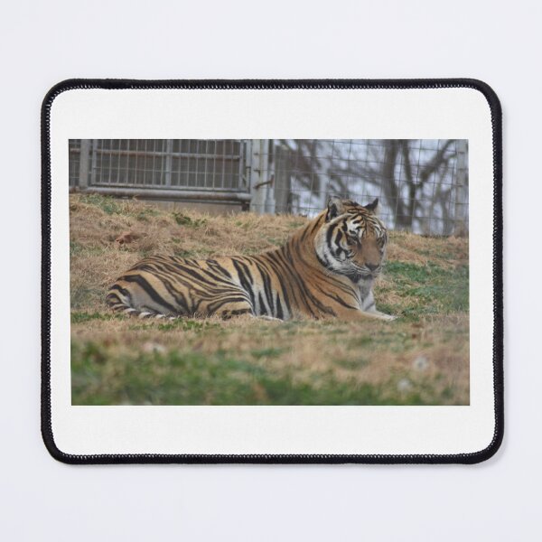 Item preview, Tiger designed and sold by MarieDarcy97.