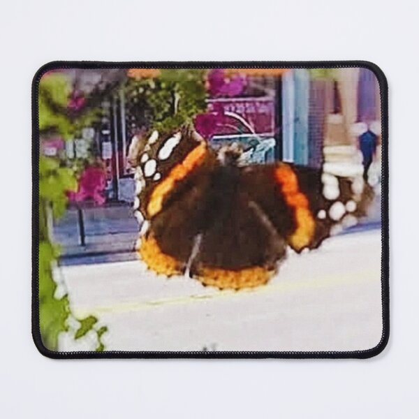 Item preview, Monarch Beauty on the Window designed and sold by IvaRenee.