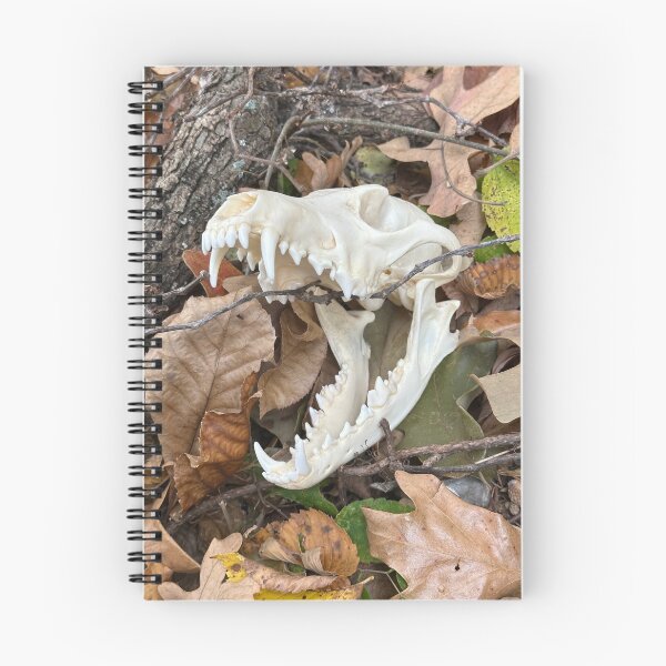 Item preview, Coyote Skull in Autumn  designed and sold by Tzarina-Tea.
