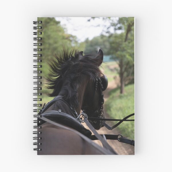 Item preview, Out for a Ride designed and sold by Marylou Badeaux.
