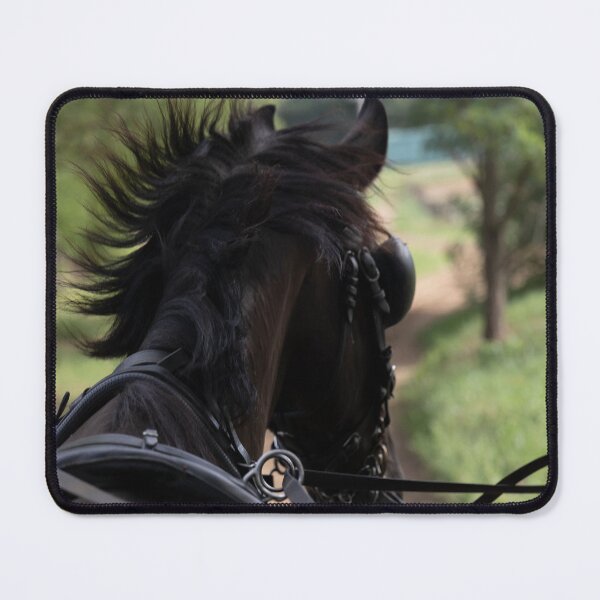 Item preview, Out for a Ride designed and sold by Marylou Badeaux.