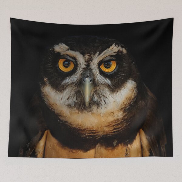 Item preview, Trading Glances with a Spectacled Owl designed and sold by walkswithnature.